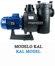 Máy bơm bể bơi công nghiệp KALIFORNIA